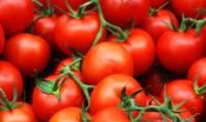 なぜトマトの夢を見るのですか：赤または緑のトマトを夢見た場合、現実には何が期待できますか