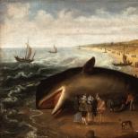 Skutočný Moby Dick: Útočia veľryby na ľudí?
