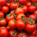 なぜトマトの夢を見るのですか：赤または緑のトマトを夢見た場合、現実には何が期待できますか
